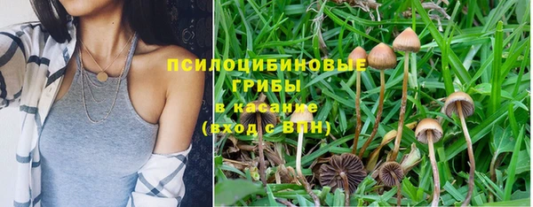амф Наволоки