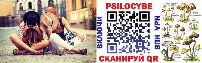 Псилоцибиновые грибы мицелий  Купить где  Новозыбков 