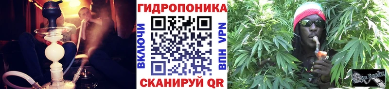 Купить  Новозыбков  Канабис индика 